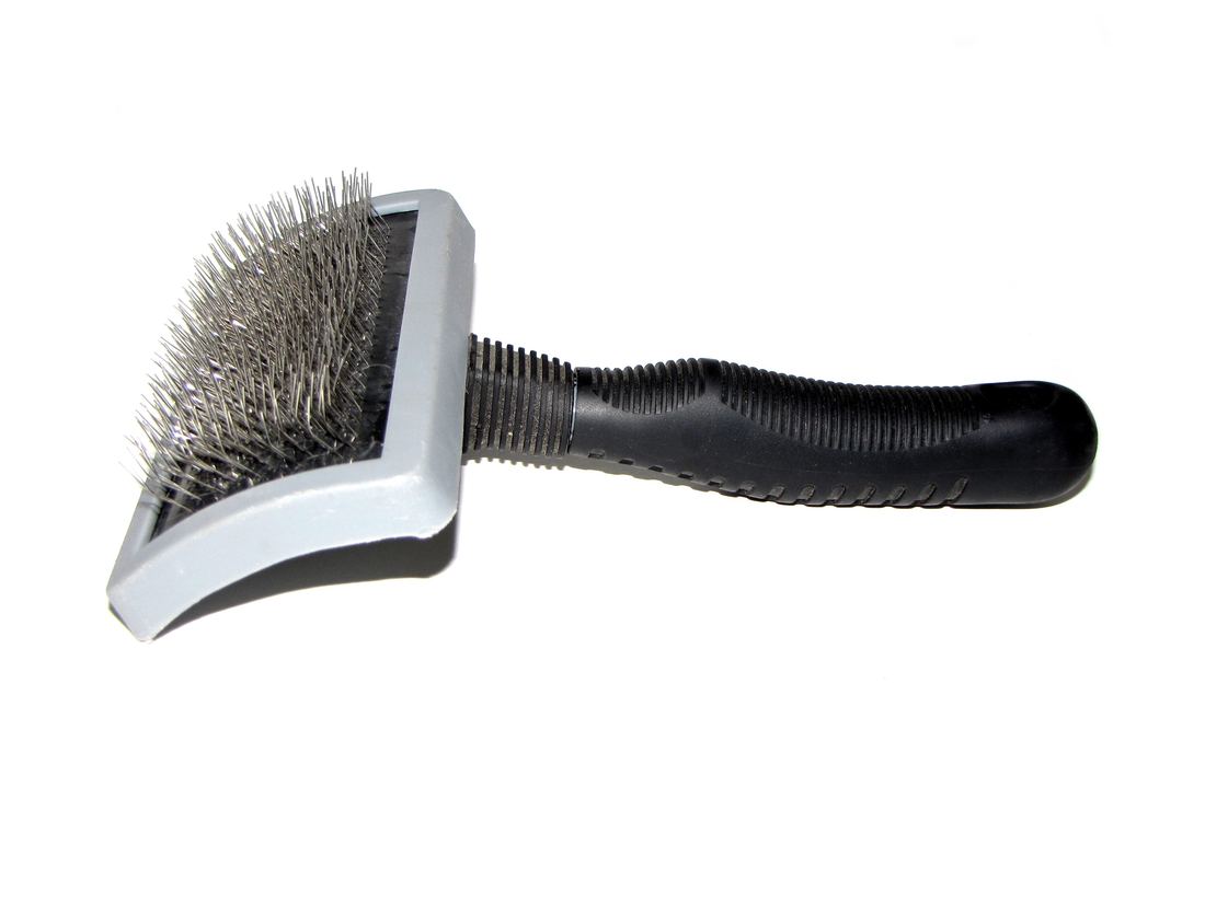 A slicker brush used for grooming a dog's coat